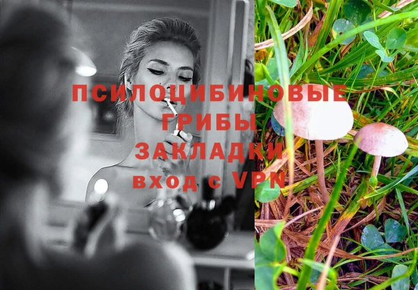 прущая мука Аркадак
