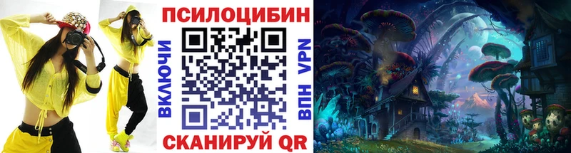 наркошоп  Теберда  Галлюциногенные грибы Magic Shrooms 
